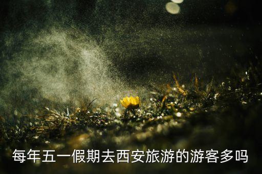 五一去西安旅游人多吗，今年五一准备去陕西玩西安景点人会多吗