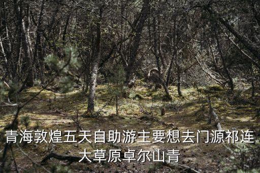 青海五日游最佳路线，青海五日游最佳路线是什么
