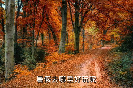 暑假去哪里好玩呢