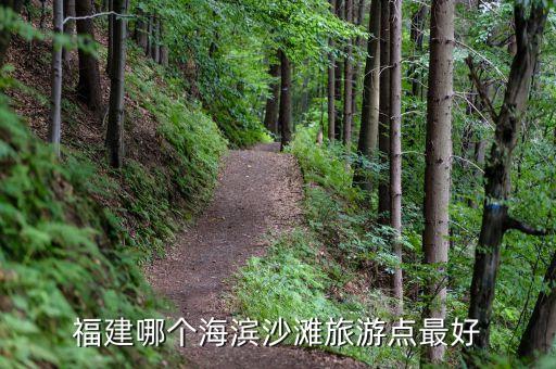 福建哪个海滨沙滩旅游点最好