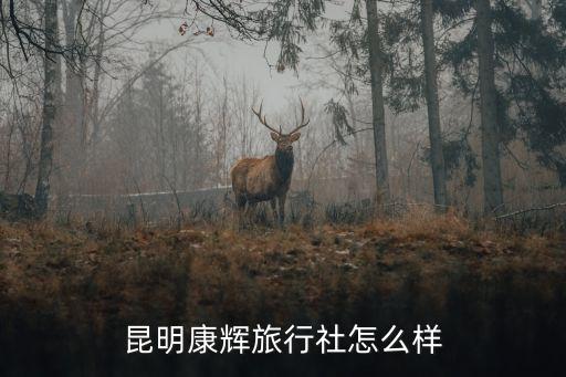 昆明康辉旅行社怎么样