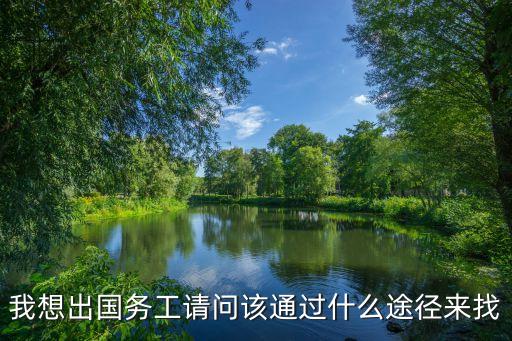 我想出国务工请问该通过什么途径来找