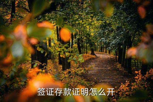 签证存款证明怎么开