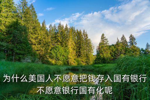 为什么美国人不愿意把钱存入国有银行不愿意银行国有化呢