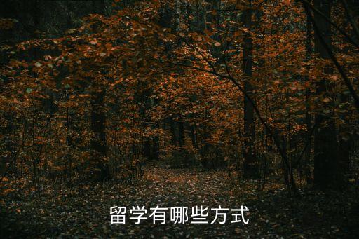 留学有哪些方式