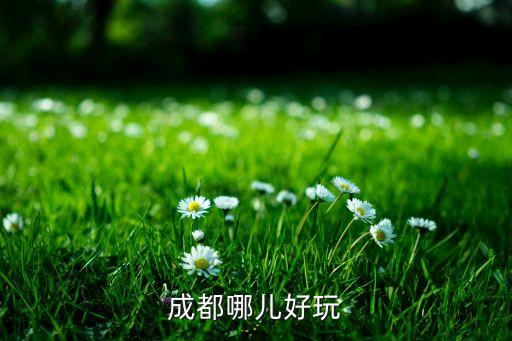 成都哪儿好玩
