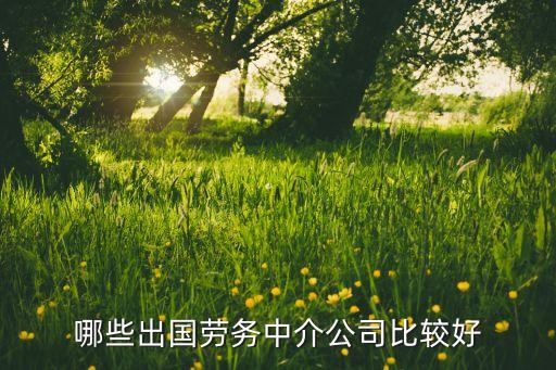 哪些出国劳务中介公司比较好