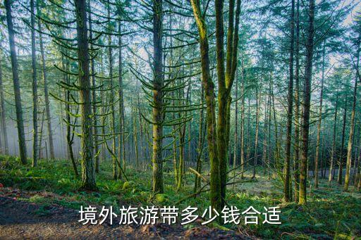 境外旅游带多少钱合适