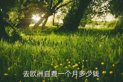 去欧洲自费一个月多少钱