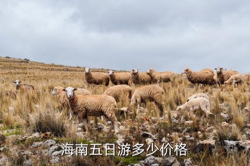 海南五日游多少价格