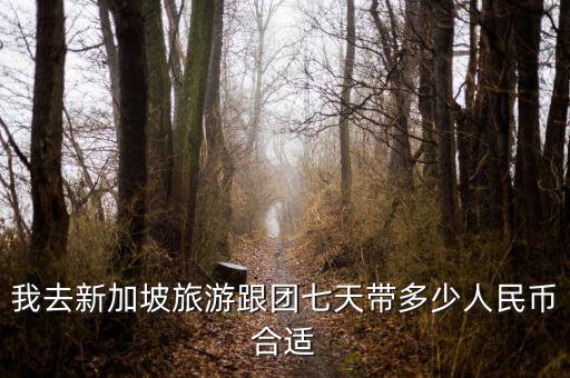 我去新加坡旅游跟团七天带多少人民币合适