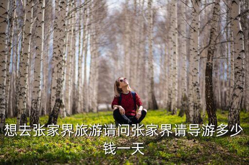 想去张家界旅游请问张家界请导游多少钱一天