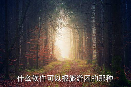 什么软件可以报旅游团的那种