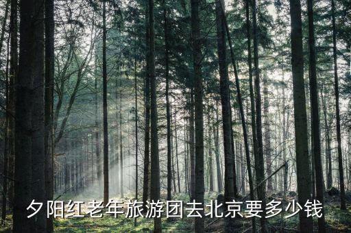 北京出发夕阳红旅游团，夕阳红老年旅游团去北京要多少钱