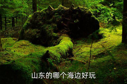 山东海边去哪里旅游最好，山东的哪个海边好玩