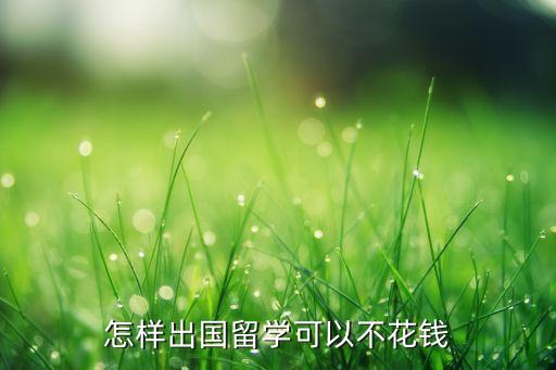 怎样出国留学可以不花钱