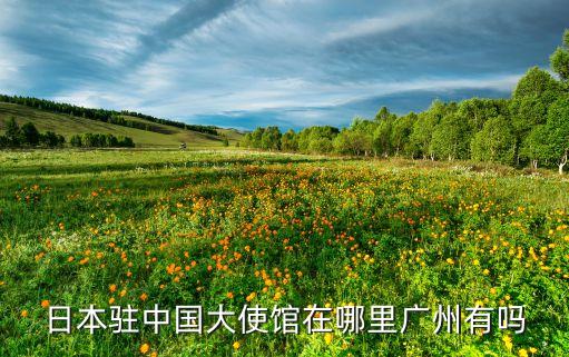 日本驻中国大使馆在哪里广州有吗