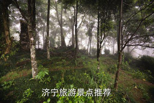 济宁周边旅游攻略，济宁附近有什么地方好玩请大家帮我想想谢谢