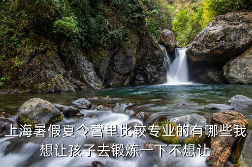 上海暑假夏令营里比较专业的有哪些我想让孩子去锻炼一下不想让