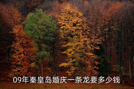 09年秦皇岛婚庆一条龙要多少钱