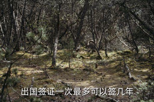 出国签证一次最多可以签几年