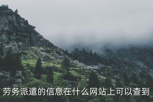 劳务派遣的信息在什么网站上可以查到