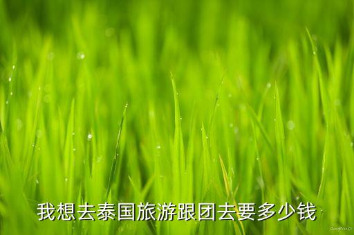 我想去泰国旅游跟团去要多少钱