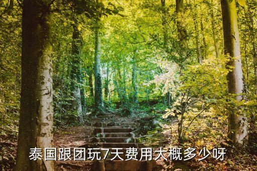 泰国跟团玩7天费用大概多少呀