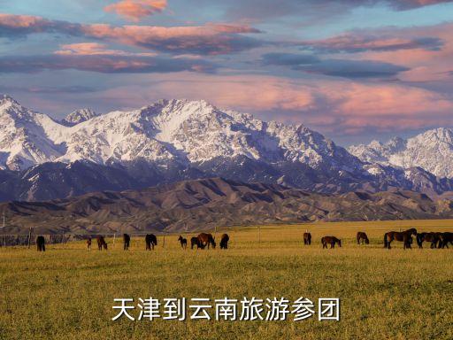 天津到云南旅游团，天津到云南本地参团要怎么联系