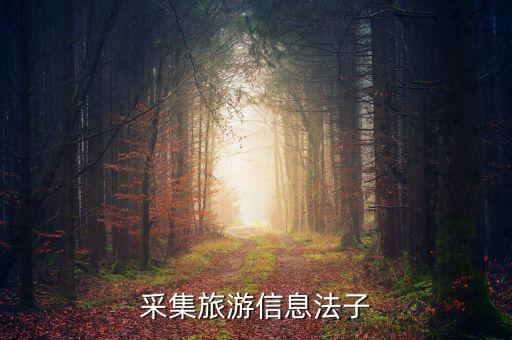 采集旅游信息法子