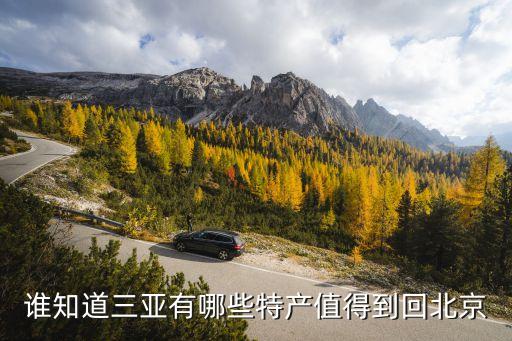 谁知道三亚有哪些特产值得到回北京