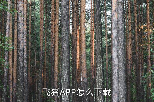 飞猪APP怎么下载