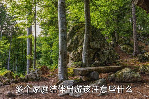 多个家庭结伴出游该注意些什么