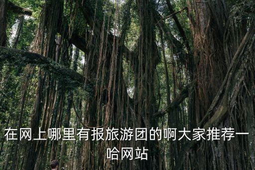 在网上哪里有报旅游团的啊大家推荐一哈网站