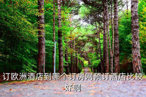 订欧洲酒店到哪个订房网预订酒店比较好啊