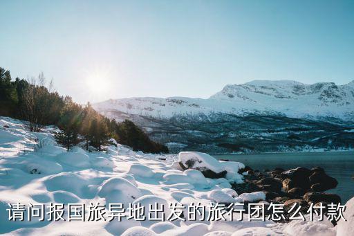 请问报国旅异地出发的旅行团怎么付款