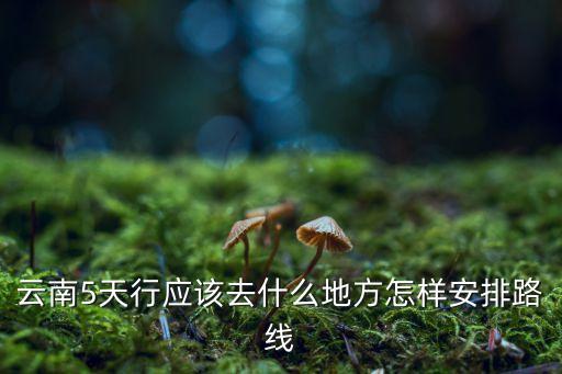 云南5日游旅游线路500字，云南5天行应该去什么地方怎样安排路线