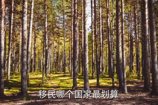 移民哪个国家最划算