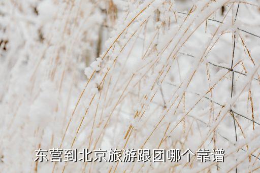 东营到北京旅游2日游，东营到北京旅游跟团哪个靠谱