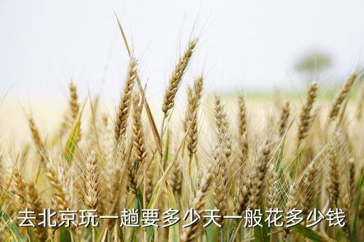 去北京玩一趟要多少天一般花多少钱