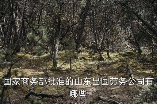 国家商务部批准的山东出国劳务公司有哪些
