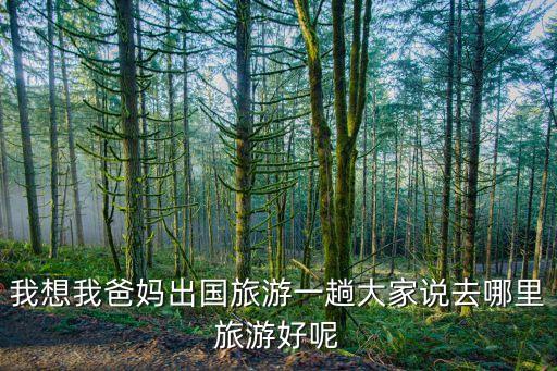 我想我爸妈出国旅游一趟大家说去哪里旅游好呢