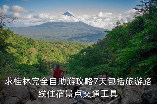 到桂林自由行攻略，求助桂林自由行攻略在线等