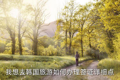 我想去韩国旅游如何办理签证详细点