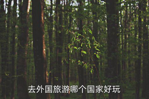 去外国旅游哪个国家好玩