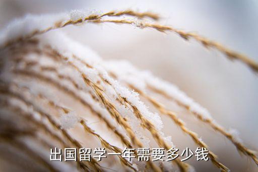 出国留学一年需要多少钱