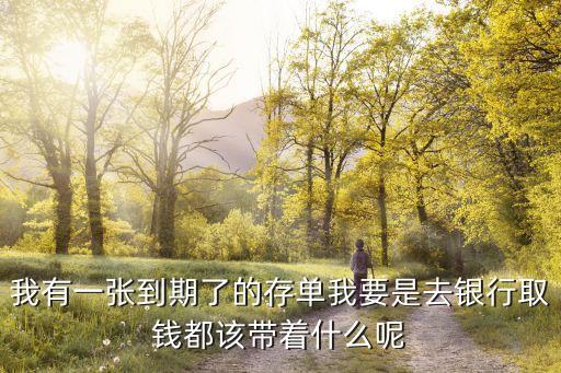 去银行大额取款带什么装，去银行取款大多用什么样的包装好