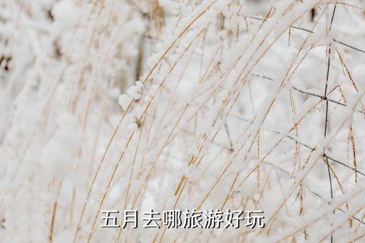 五月去哪旅游好玩