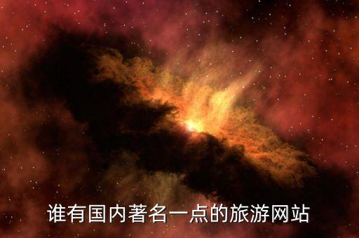 谁有国内著名一点的旅游网站