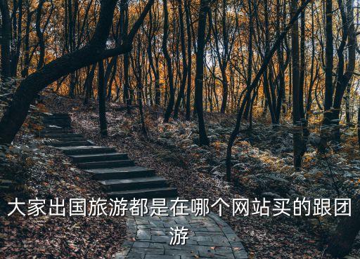 大家出国旅游都是在哪个网站买的跟团游